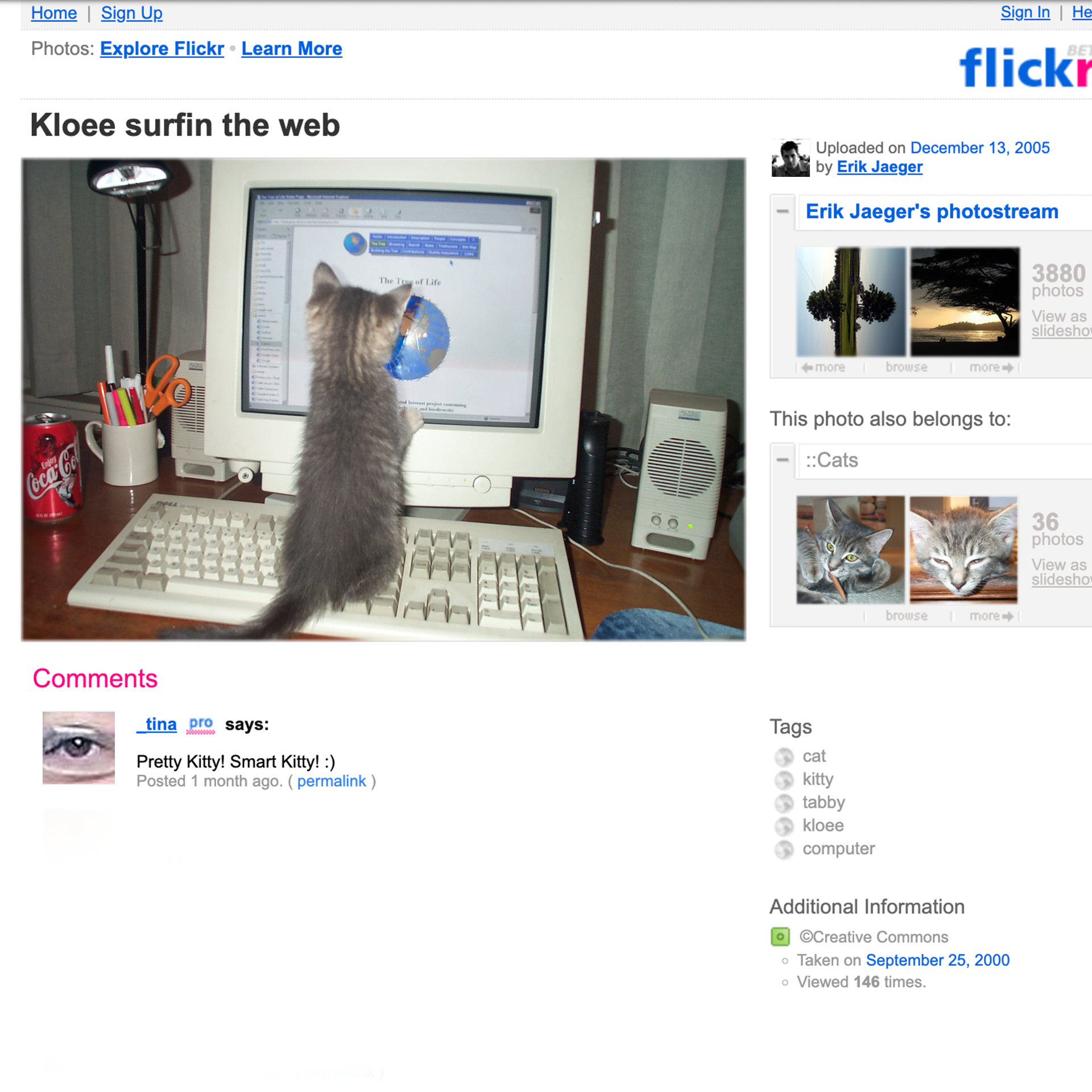 The webpage “flickr” shows a post of Kloee, a web-surfing kitten, with a comment “Pretty Kitty! Smart Kitty! :)”.